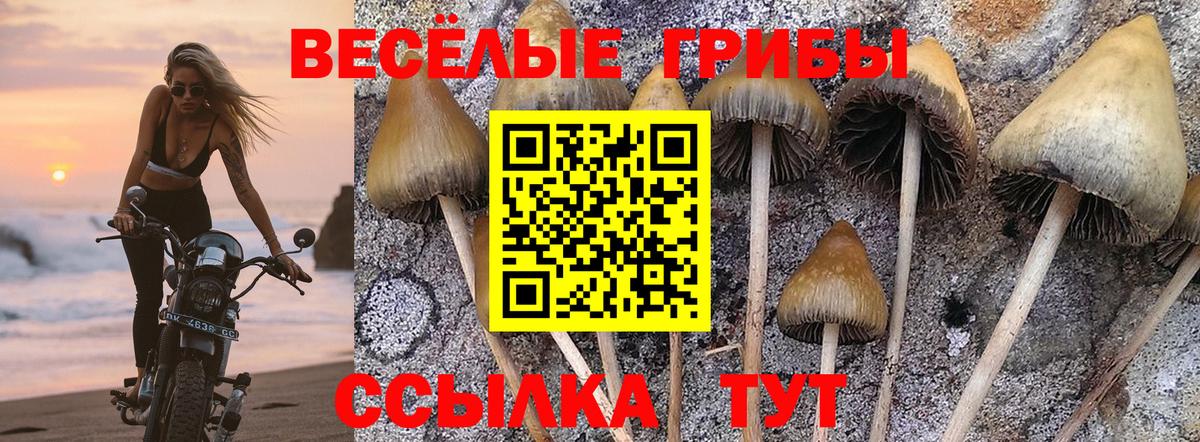 Галлюциногенные грибы мицелий Костомукша