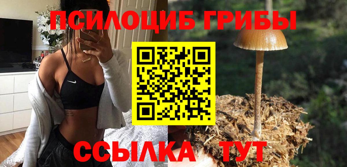 Галлюциногенные грибы Cubensis  где продают   Костомукша  Вход с VPN 